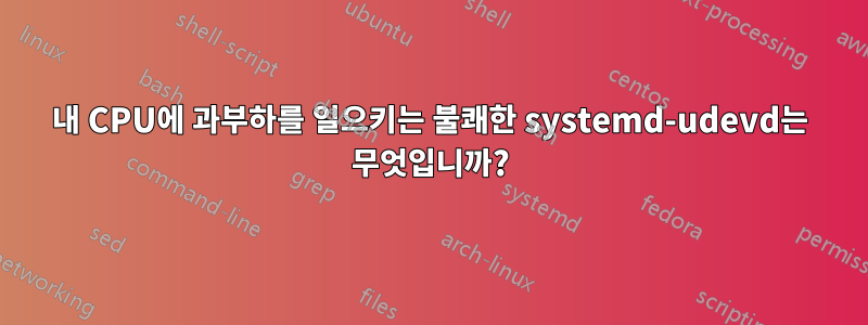 내 CPU에 과부하를 일으키는 불쾌한 systemd-udevd는 무엇입니까?