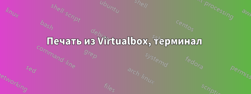 Печать из Virtualbox, терминал