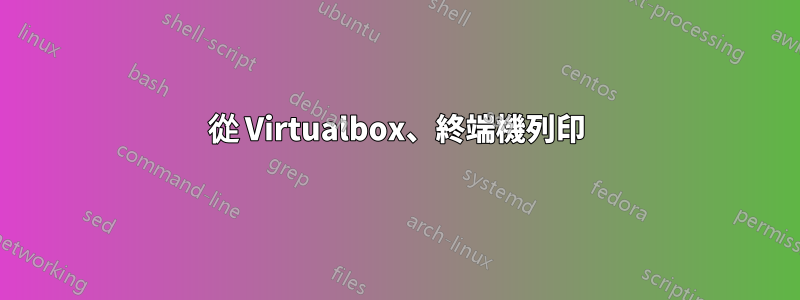 從 Virtualbox、終端機列印