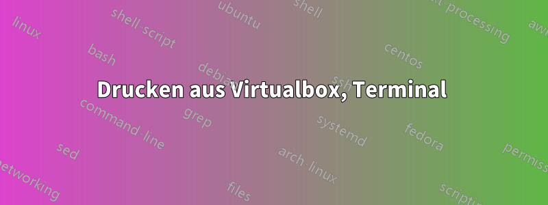 Drucken aus Virtualbox, Terminal