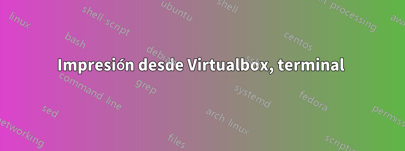 Impresión desde Virtualbox, terminal