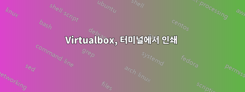 Virtualbox, 터미널에서 인쇄