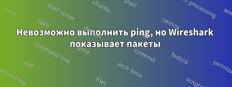 Невозможно выполнить ping, но Wireshark показывает пакеты