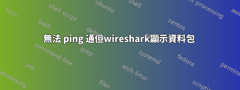 無法 ping 通但wireshark顯示資料包