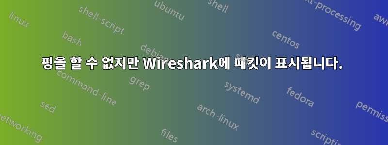 핑을 할 수 없지만 Wireshark에 패킷이 표시됩니다.