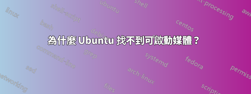 為什麼 Ubuntu 找不到可啟動媒體？