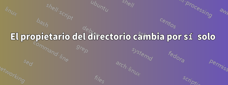 El propietario del directorio cambia por sí solo