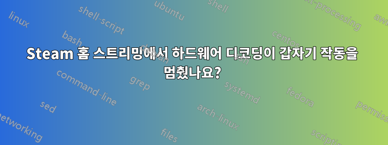 Steam 홈 스트리밍에서 하드웨어 디코딩이 갑자기 작동을 멈췄나요?