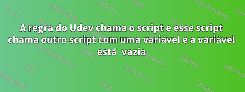 A regra do Udev chama o script e esse script chama outro script com uma variável e a variável está vazia