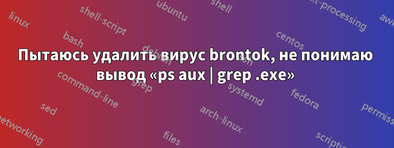 Пытаюсь удалить вирус brontok, не понимаю вывод «ps aux | grep .exe»