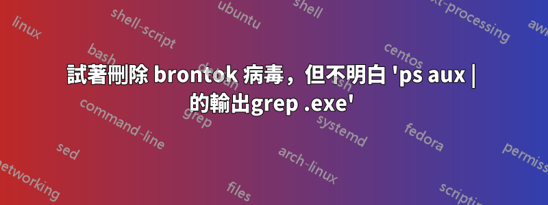 試著刪除 brontok 病毒，但不明白 'ps aux | 的輸出grep .exe'