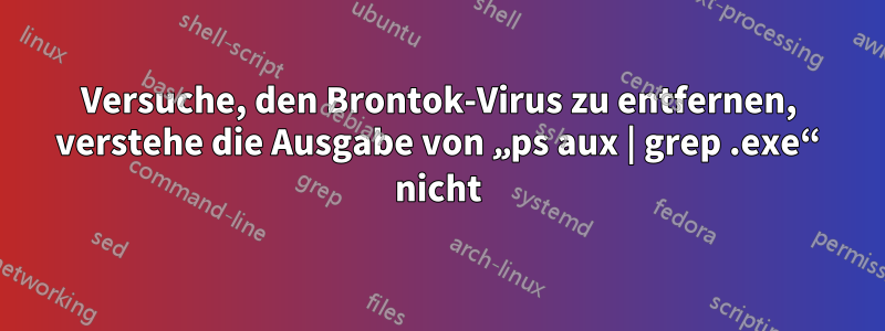 Versuche, den Brontok-Virus zu entfernen, verstehe die Ausgabe von „ps aux | grep .exe“ nicht