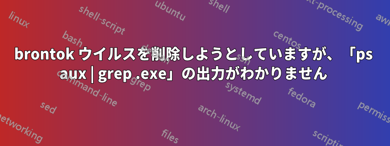 brontok ウイルスを削除しようとしていますが、「ps aux | grep .exe」の出力がわかりません