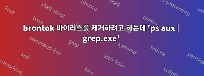 brontok 바이러스를 제거하려고 하는데 'ps aux | grep.exe'