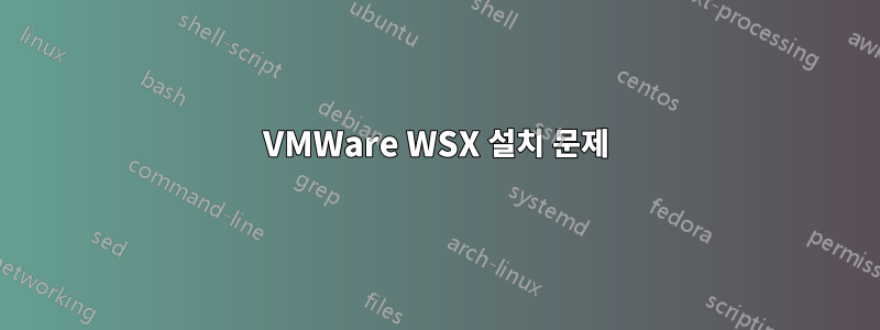 VMWare WSX 설치 문제