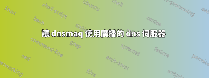 讓 dnsmaq 使用廣播的 dns 伺服器