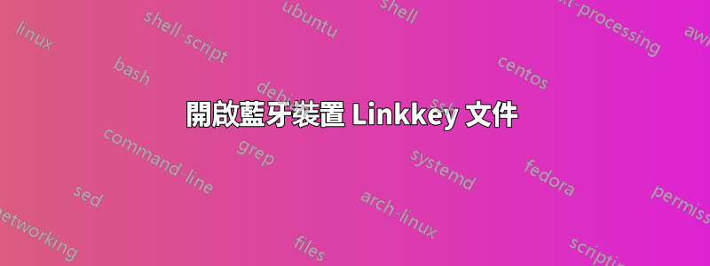 開啟藍牙裝置 Linkkey 文件