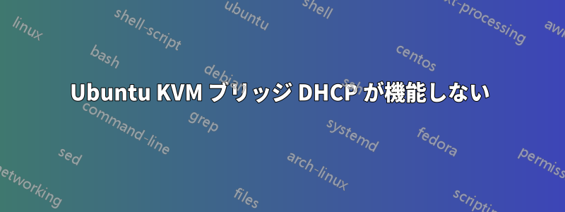 Ubuntu KVM ブリッジ DHCP が機能しない