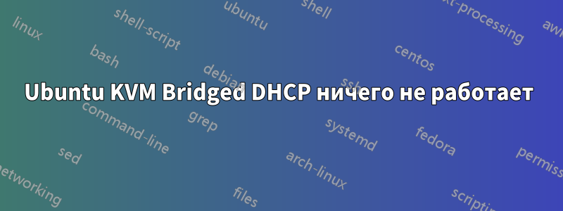 Ubuntu KVM Bridged DHCP ничего не работает