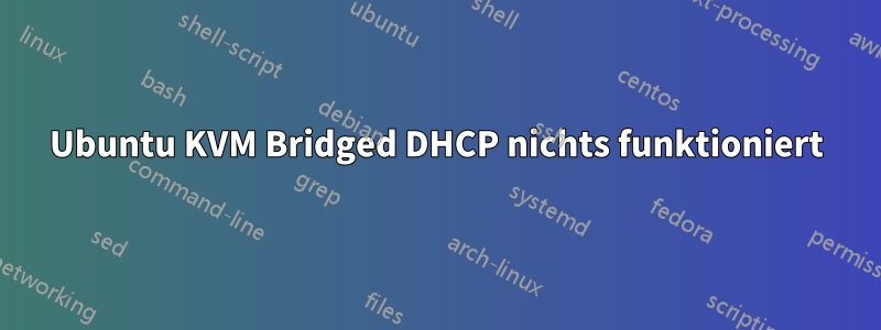 Ubuntu KVM Bridged DHCP nichts funktioniert