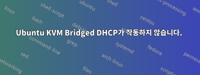 Ubuntu KVM Bridged DHCP가 작동하지 않습니다.