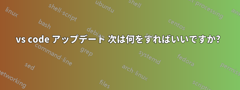 vs code アップデート 次は何をすればいいですか? 