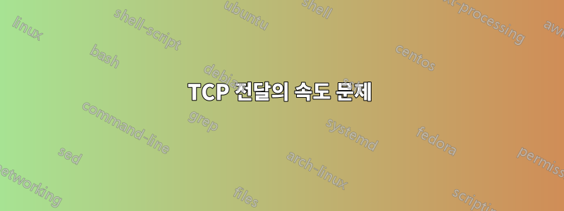 TCP 전달의 속도 문제