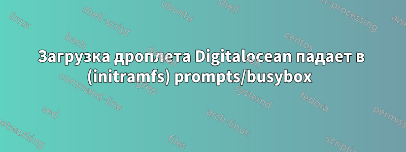 Загрузка дроплета Digitalocean падает в (initramfs) prompts/busybox 