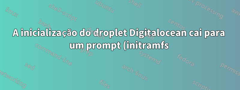A inicialização do droplet Digitalocean cai para um prompt (initramfs)/busybox
