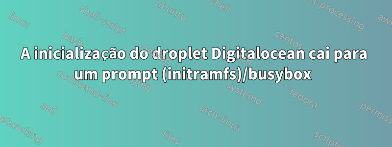 A inicialização do droplet Digitalocean cai para um prompt (initramfs)/busybox 