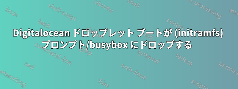 Digitalocean ドロップレット ブートが (initramfs) プロンプト/busybox にドロップする 