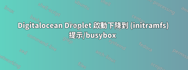 Digitalocean Droplet 啟動下降到 (initramfs) 提示/busybox 