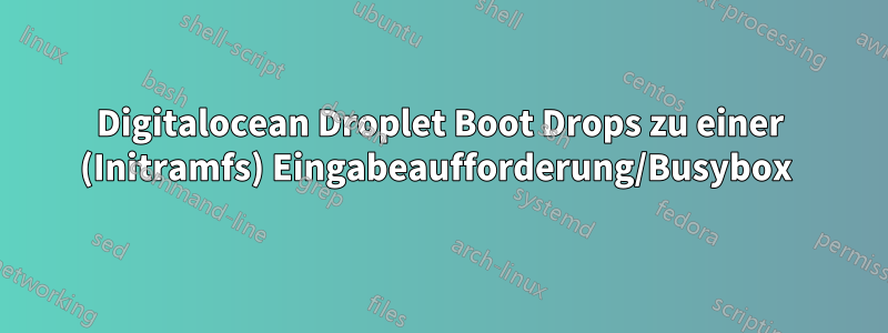 Digitalocean Droplet Boot Drops zu einer (Initramfs) Eingabeaufforderung/Busybox 