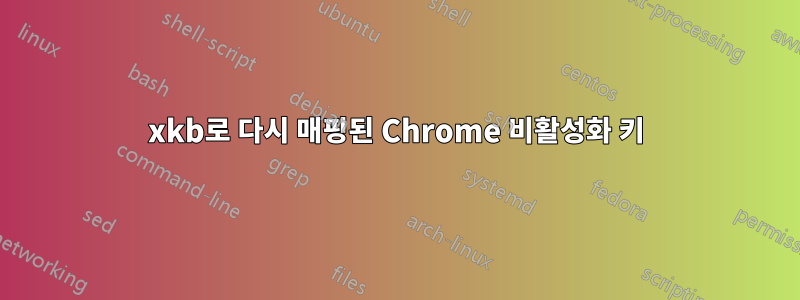 xkb로 다시 매핑된 Chrome 비활성화 키