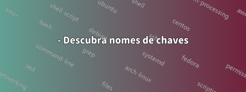 0 - Descubra nomes de chaves