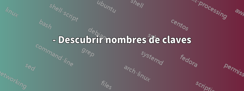 0 - Descubrir nombres de claves