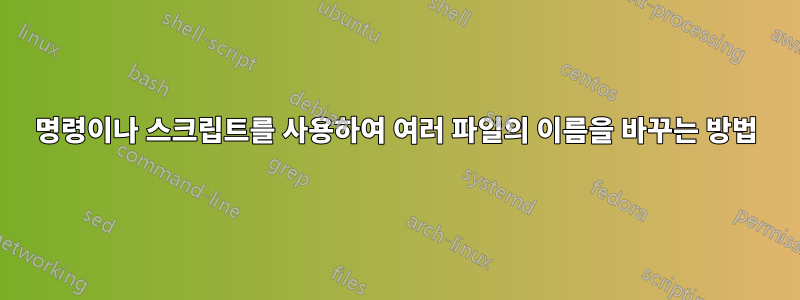명령이나 스크립트를 사용하여 여러 파일의 이름을 바꾸는 방법