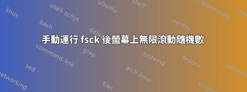 手動運行 fsck 後螢幕上無限滾動隨機數
