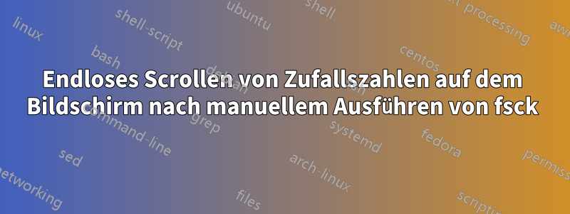 Endloses Scrollen von Zufallszahlen auf dem Bildschirm nach manuellem Ausführen von fsck