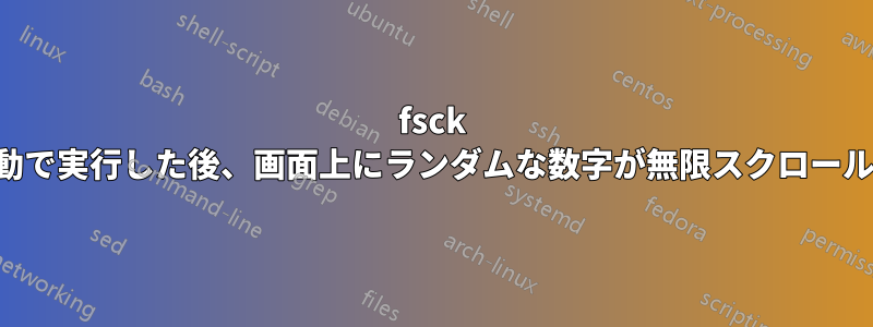 fsck を手動で実行した後、画面上にランダムな数字が無限スクロールする