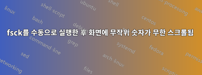 fsck를 수동으로 실행한 후 화면에 무작위 숫자가 무한 스크롤됨