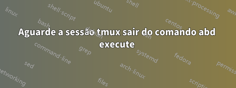 Aguarde a sessão tmux sair do comando abd execute