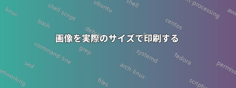 画像を実際のサイズで印刷する