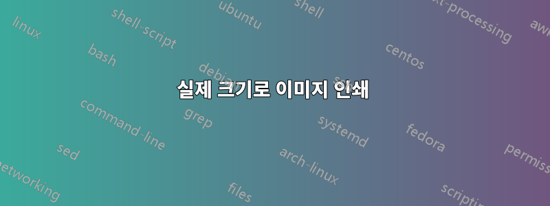 실제 크기로 이미지 인쇄