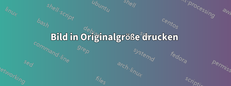 Bild in Originalgröße drucken