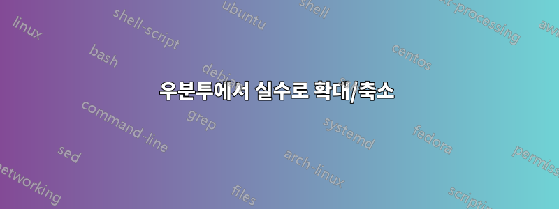 우분투에서 실수로 확대/축소