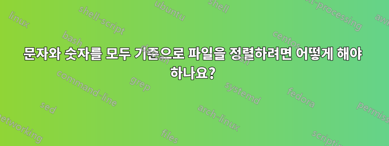 문자와 숫자를 모두 기준으로 파일을 정렬하려면 어떻게 해야 하나요?