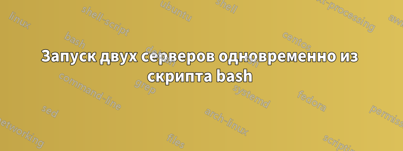Запуск двух серверов одновременно из скрипта bash