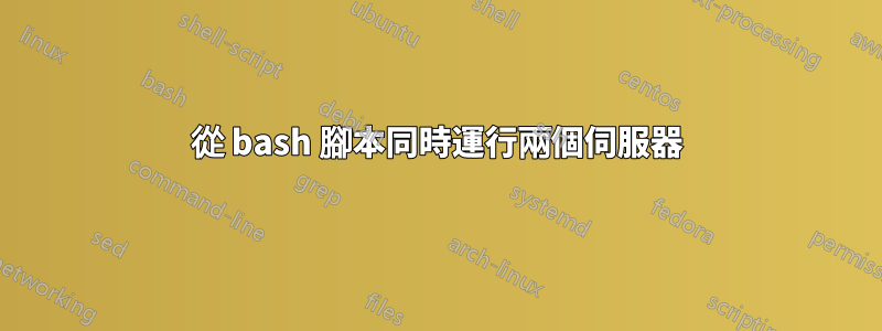 從 bash 腳本同時運行兩個伺服器