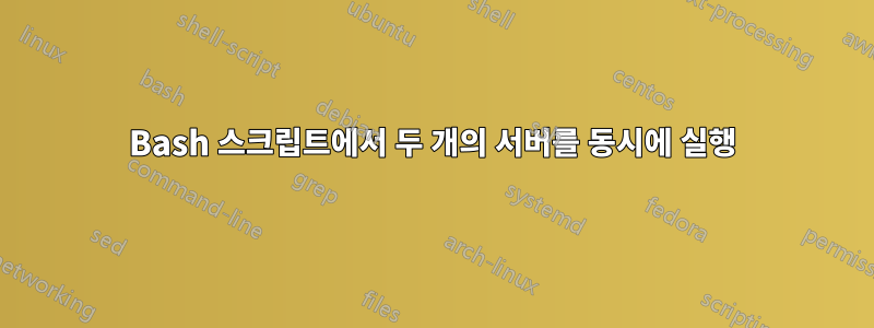 Bash 스크립트에서 두 개의 서버를 동시에 실행